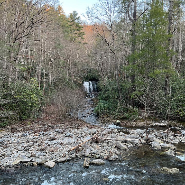 GSM Nat'l Park Photo 04