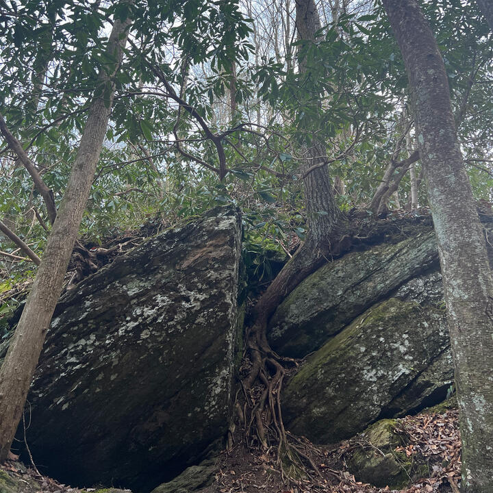 GSM Nat&#39;l Park Photo 08