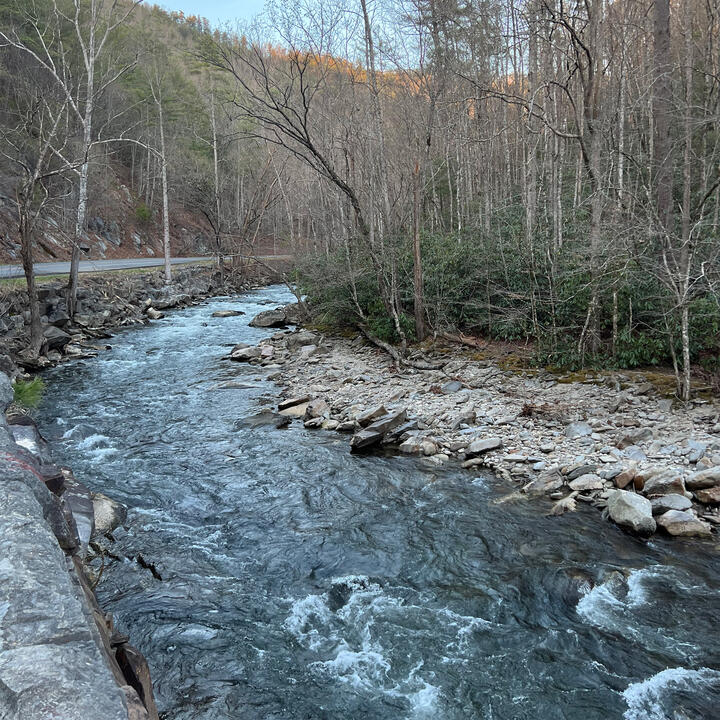 GSM Nat'l Park Photo 05