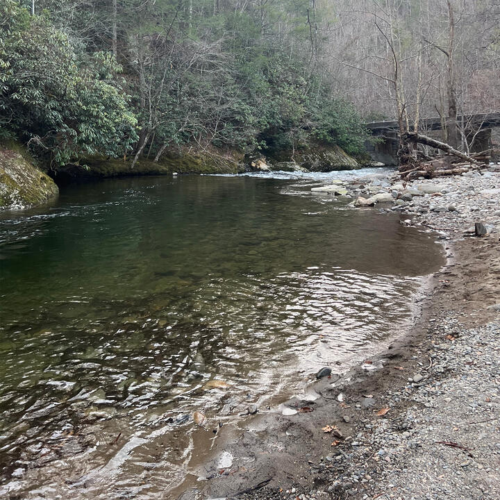 UntitledGSM Nat'l Park Photo 10