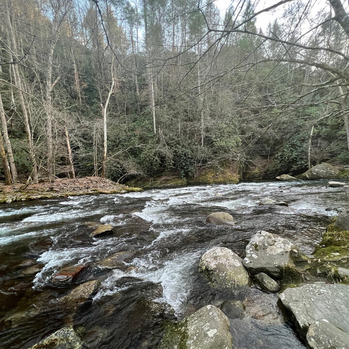 GSM Nat&#39;l Park Photo 09