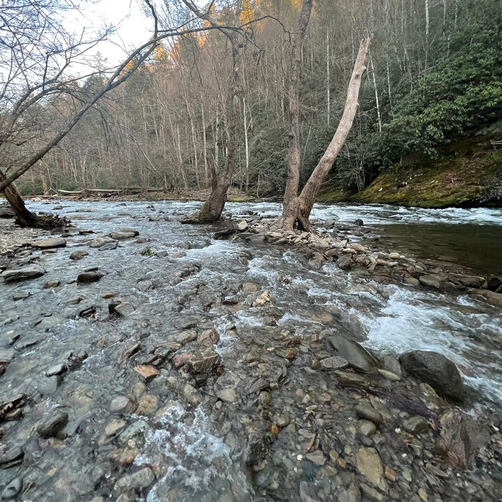 GSM Nat'l Park Photo 07