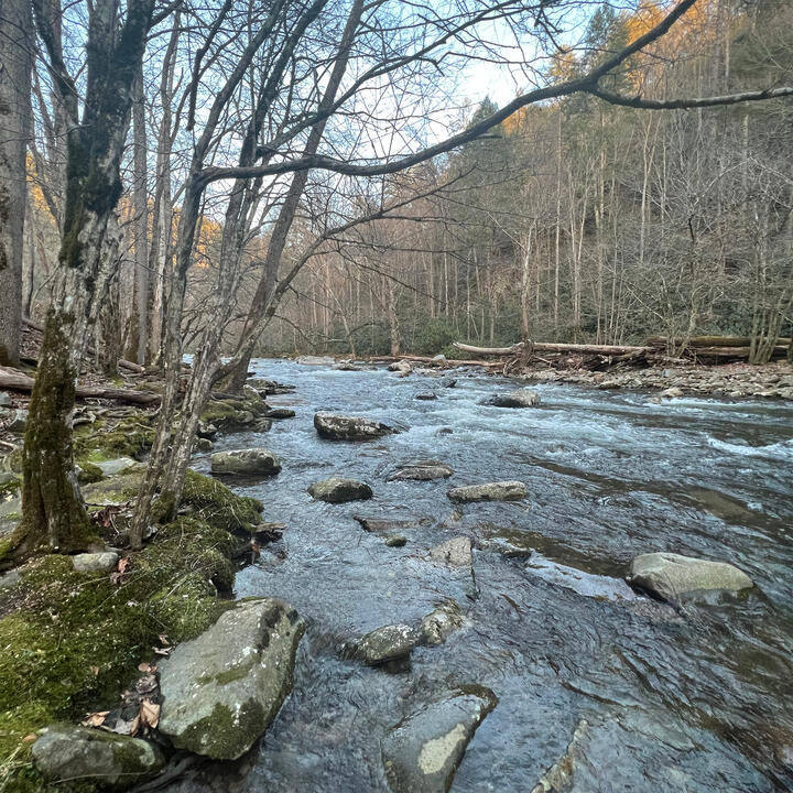 GSM Nat&#39;l Park Photo 06